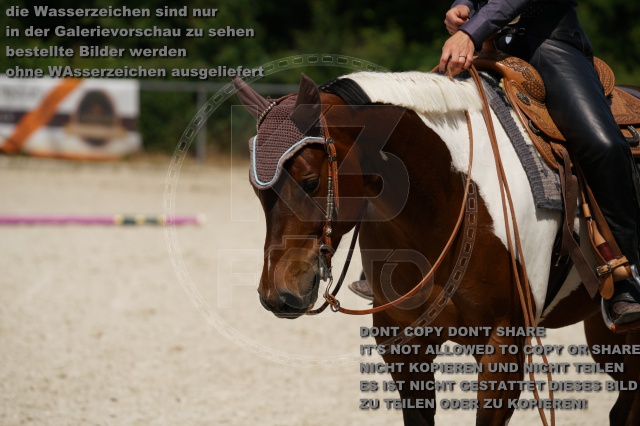 s_K3F02284.JPG
